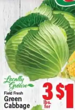 Angelo Caputo's Fresh Market Field Fresh Green Cabbage offer