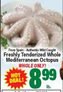 Angelo Caputo's Fresh Market From Spain - Authentic Wild Caught Freshly Tenderized Whole Mediterranean Octopus offer