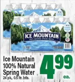 Angelo Caputo's Fresh Market Ice Mountain 100% Natural Spring Water offer