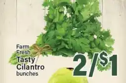 Angelo Caputo's Fresh Market Farm Fresh Tasty Cilantro bunches offer