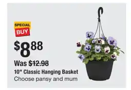 The Home Depot 10 Classic Hanging Basket Choose pansy and mum offer