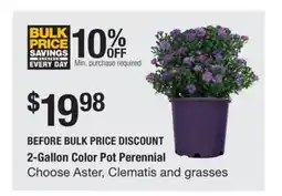 The Home Depot 2-Gallon Color Pot Perennial offer