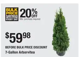 The Home Depot 7-Gallon Arborvitea offer