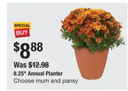The Home Depot 8.25 Annual Planter offer