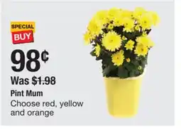 The Home Depot Pint Mum offer