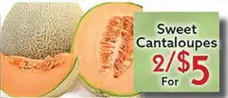 World Fresh Market Sweet Cantaloupes offer