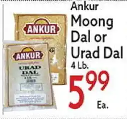 World Fresh Market Ankur Moong Dal or Urad Dal offer