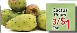World Fresh Market Cactus Pears offer