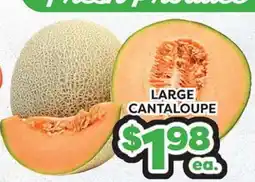 Torres Supermercado LARGE CANTALOUPE offer