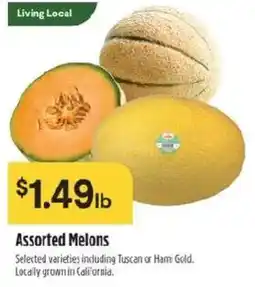 Raley's Assorted Melons offer