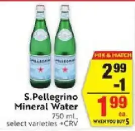 S. Pellegrino Mineral Water