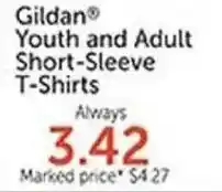 Hobby Lobby Gildan youth and adult short-sleeve t-shirts offer