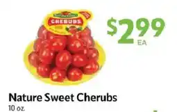 Homeland Market Nature Sweet Cherubs offer