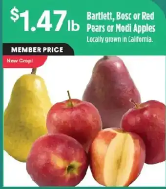 Bartlett, Bosc or Red Pears or Modi Apples