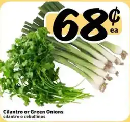 Fresco y Más Cilantro or Green Onions offer
