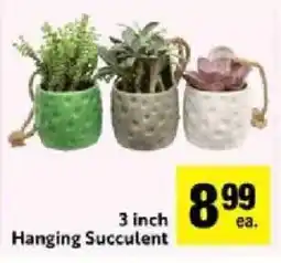 Save Mart Hanging Succulent offer