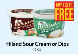 Homeland Market Hiland Sour Cream or Dips offer