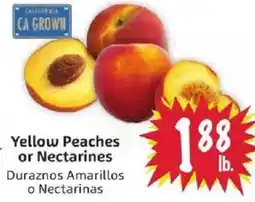 Foodmaxx Yellow Peaches or Nectarines offer