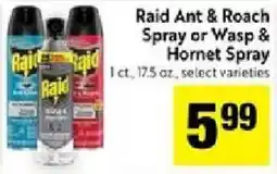 Save Mart Raid ant & roach spray or wasp & hornet spray offer