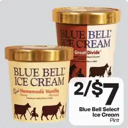 The Markets Blue Bell Select Ice Cream offer