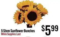 Jons International 5 Stem Sunflower Bunches offer