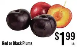 Jons International Red or Black Plums offer