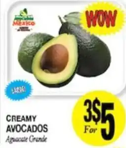Arlan's Market Creamy Avocados offer