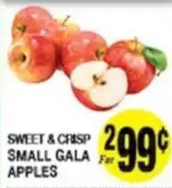 Arlan's Market Small Gala Apples offer