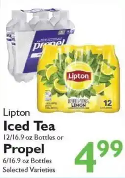 Festival Foods Lipton Iced Tea offer