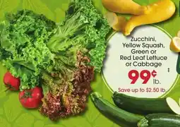 Giant Eagle Zucchini, Yellow Squash, Green or Red Leaf Lettuce or Cabbage offer