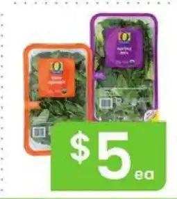 Albertsons Fresh Salads offer