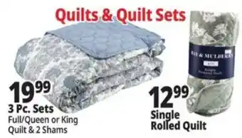 Ocean State Job Lot Ray & Mulberry single rolled quilt offer