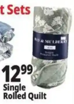 Ocean State Job Lot Ray & Mulberry Single Rolled Quilt offer
