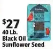 Ocean State Job Lot Black Oil Sunflower Seed offer