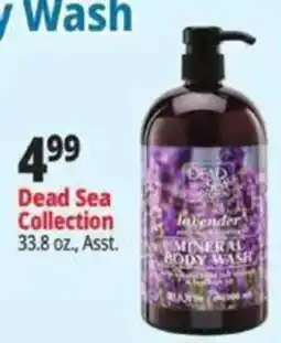 Ocean State Job Lot Dead Sea Collection lavender mineral body wash offer