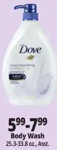 Ocean State Job Lot Dove body wash offer