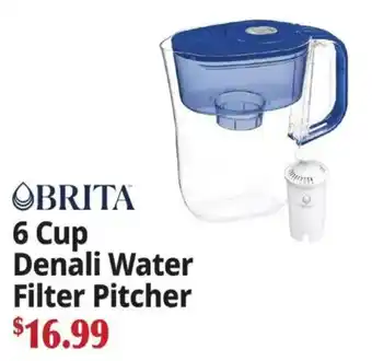 Brita 6 cup denali water filter pitcher