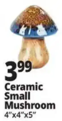 Ocean State Job Lot Ceramic Small Mushroom offer