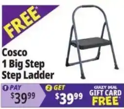 Ocean State Job Lot Cosco 1 Big Step Step Ladder offer