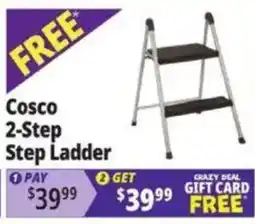 Ocean State Job Lot Cosco 2-step step ladder offer
