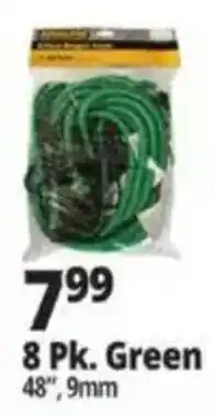 Ocean State Job Lot Green hose offer