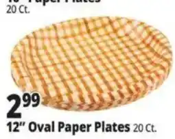 Ocean State Job Lot 12" Oval Paper Plates offer