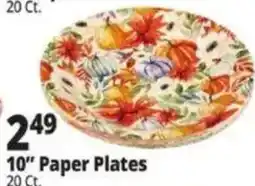 Ocean State Job Lot 10" Paper Plates offer