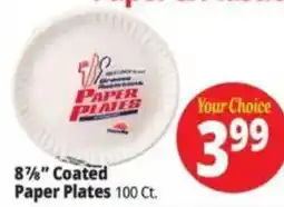 Ocean State Job Lot Paper Plates offer