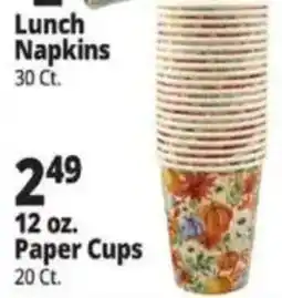 Ocean State Job Lot Lunch Napkins offer