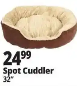Ocean State Job Lot Spot Cuddler offer