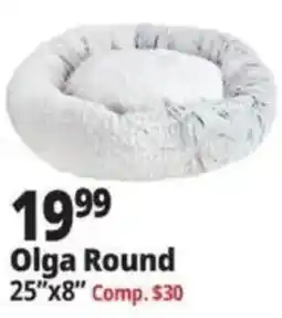 Ocean State Job Lot Olga Round offer