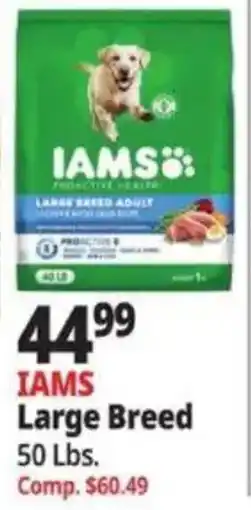 Ocean State Job Lot Iams Large Breed offer
