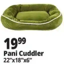 Ocean State Job Lot Pani Cuddler offer