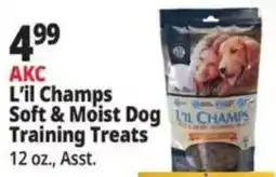 Ocean State Job Lot AkC L'il Champs Soft & Moist Dog Training Treats offer